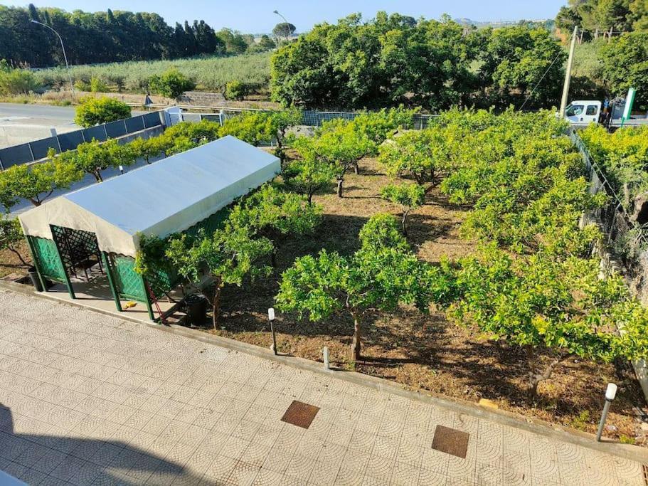 Appartamento Roccaforte Bi Rosso トラーパニ エクステリア 写真